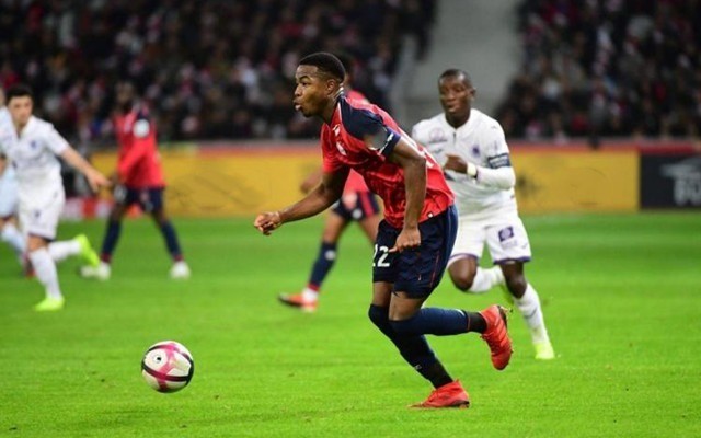 动鼓励新加 动鼓励新加